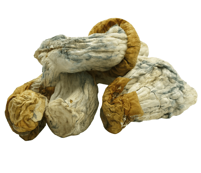 avalanche mushroom