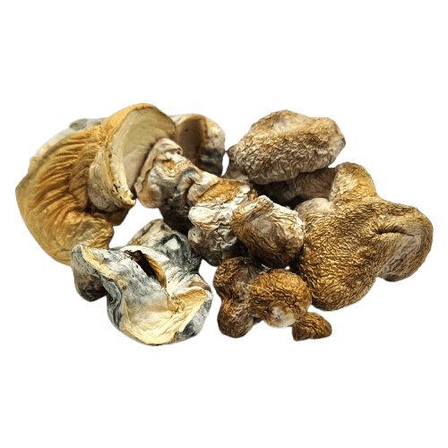 Dino Eggs Mushrooms