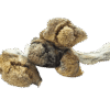 Golden Emperor Mushrooms