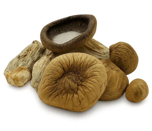 Squat Mac Shrooms