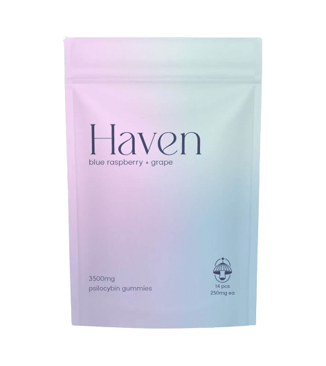 haven mushroom gummies